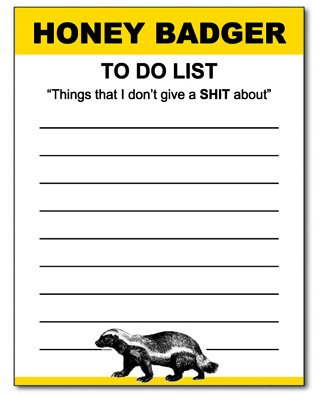 Honey Badger Funny Notepad Office Memo Pad Gag Gift Yellow and Black