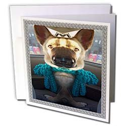Sandy Mertens Dog Designs – Funny and Weird German Shepherd Photo – Greeting Cards-6 Greeting Cards with envelopes