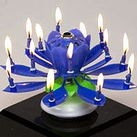 The Amazing Happy Birthday Candle(colors vary)