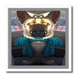 Funny and Weird German Shepherd Photo – 8×8 Iron On Heat Transfer For White Material