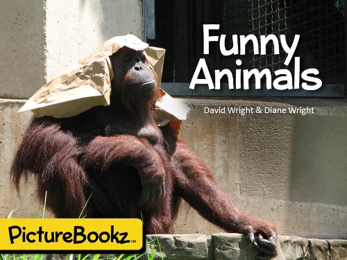 Funny Animals (PictureBookz Series) Funny Animals (PictureBookz Series)