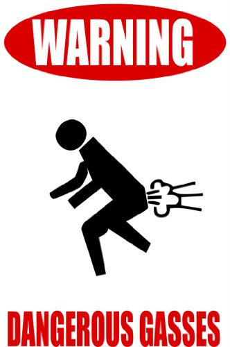 WARNING : Dangerous Gasses Sign – Funny Picture Art – Kids Boys Bedroom – Peel & Stick Sticker – Vinyl Wall Decal – 24 Colors Available 20X10