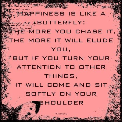 Happiness and Butterflies Quote Magnet