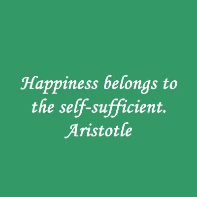 Aristotle Happiness Quote Magnet