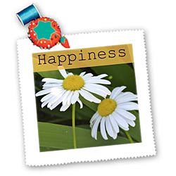 Happiness Daisies- Flowers- Inspirational Quotes- Photography – 22×22 Inch Quilt Square