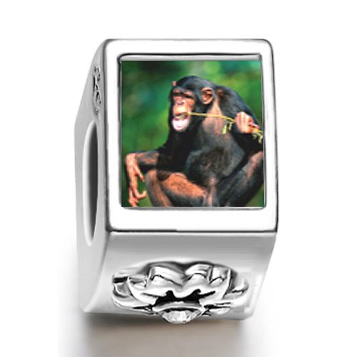 Soufeel Funny Monkey Photo White Crystal Stone Flower European Beads Fit Pandora Chamilia Biagi beads Charms Bracelet