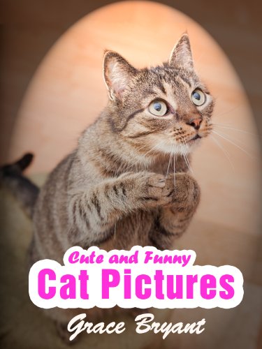 Funny Cat Pictures – The Most Cute and Hilarious Cat Pictures with Captions
