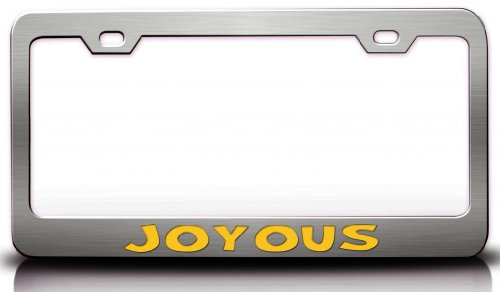 JOYOUS Female Name Steel Metal License Plate Frame Style #6 Chrome