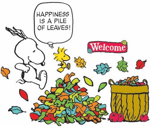 Eureka Peanuts Happiness is a Pile of Leaves Bulletin Board Set, 26 Reusable Punch Out Pieces Eureka Peanuts Happiness is a Pile of Leaves Bulletin Board Set, 26 Reusable Punch Out Pieces