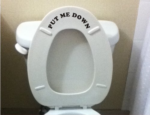Put Me Down Bathroom wall art decal sticker funny kids potty training reminder