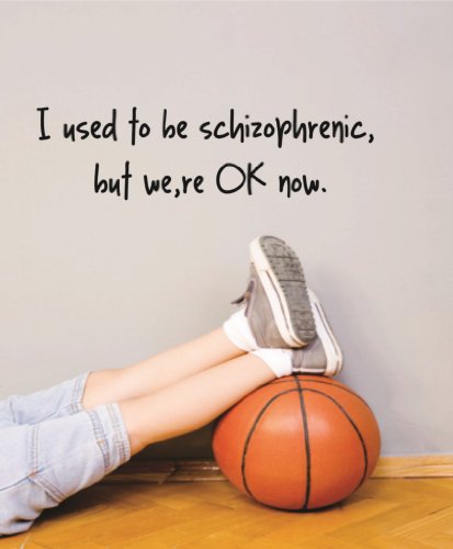 Used to be schizophrenic but we’re ok Now – Funny Quote Wall Car Sticker Picture Art – Peel & Stick Vinyl Wall Decal Sticker 6X20