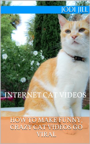 Internet Cat Videos: How to Make Funny, Crazy Cat Videos Go Viral