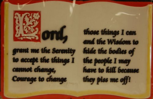 Fun Magnet Lord Grant Me Serenity