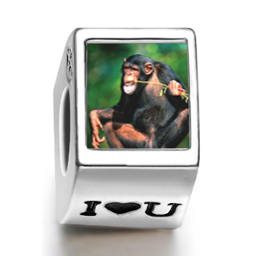 Soufeel Funny Monkey Photo I Love U European Beads
