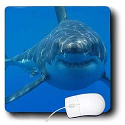 EvaDane – Funny Pictures – Underwater Great White Shark, Smiling Shark – Mouse Pads