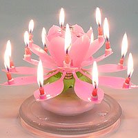 The Amazing Happy Birthday Candle – PINK The Amazing Happy Birthday Candle – PINK