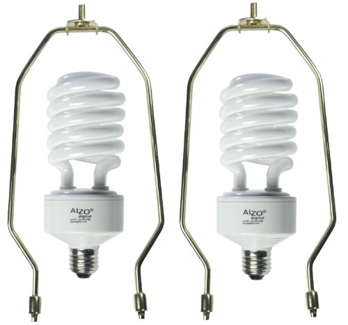 Energy Saving 45W Compact Fluorescent CFL Light Bulb with Lamp Harp – 5500K – Pack of 2- ALZO Joyous light daylight pure white light – 2800 Lumens