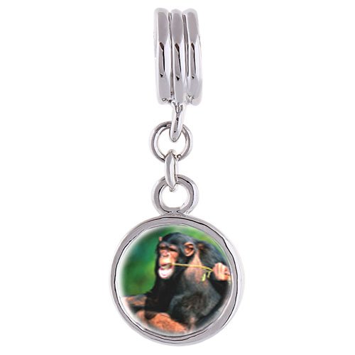 Funny Monkey Photo Flower dangle European Beads