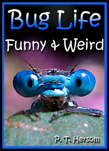 Bug Life Funny & Weird Insect Animals – Learn with Amazing Photos and Fun Facts About Bugs and Spiders (Funny & Weird Animals Series)