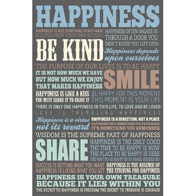 (24×36) Happiness Quotes Motivational Poster
