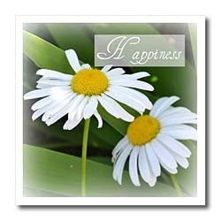 Happiness Daisy Flowers Inspirational Quotes – 10×10 Iron On Heat Transfer For White Material