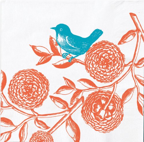 Studio Oh! 3-Ply Cocktail Beverage Napkins, Joyful, 20-Count
