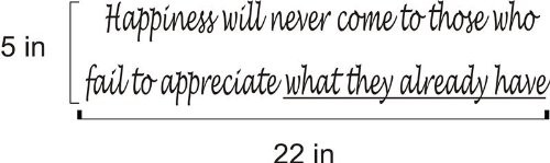 Happiness Will Never Come Vinyl Decal
