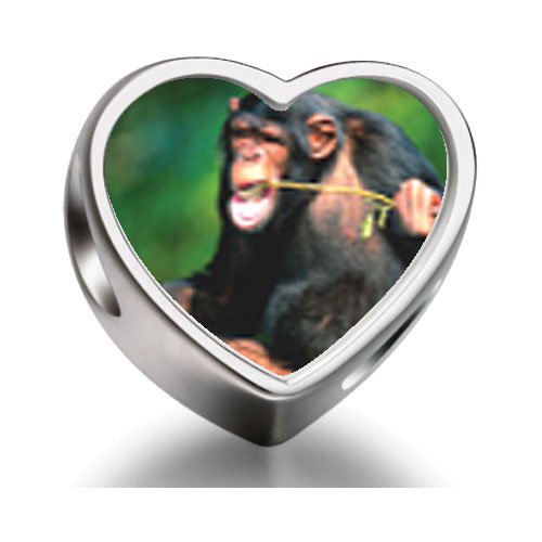 Soufeel Funny Monkey Heart Photo European Charms Fit Pandora Bracelets