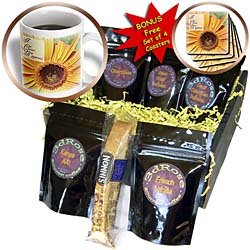 Patricia Sanders Flowers – I Choose Happiness Gerbera Flowers Inspirational Quotes – Coffee Gift Baskets – Coffee Gift Basket Patricia Sanders Flowers – I Choose Happiness Gerbera Flowers Inspirational Quotes – Coffee Gift Baskets – Coffee Gift Basket