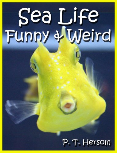 Sea Life Funny & Weird Marine Animals – Learn with Amazing Photos and Facts About Ocean Marine Sea Animals. (Funny & Weird Animals Series)
