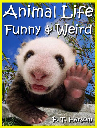 Animal Life Funny & Weird Land Mammals – Learn with Amazing Photos and Fun Facts About Animals and Land Mammals (Funny & Weird Animals Series)