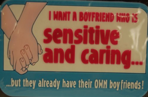 Fun Magnet I Want a Boyfriend Who Is Sensitive