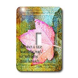3dRose lsp_47299_1 Joyous Tranquility- Leaf- Inspirational Rumi Quote Single Toggle Switch 3dRose lsp_47299_1 Joyous Tranquility- Leaf- Inspirational Rumi Quote Single Toggle Switch