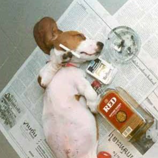 Funny images