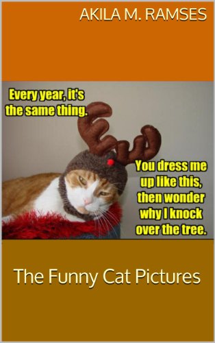 The Funny Cat Pictures