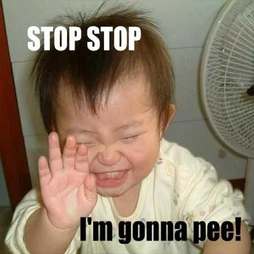 funny pictures and videos