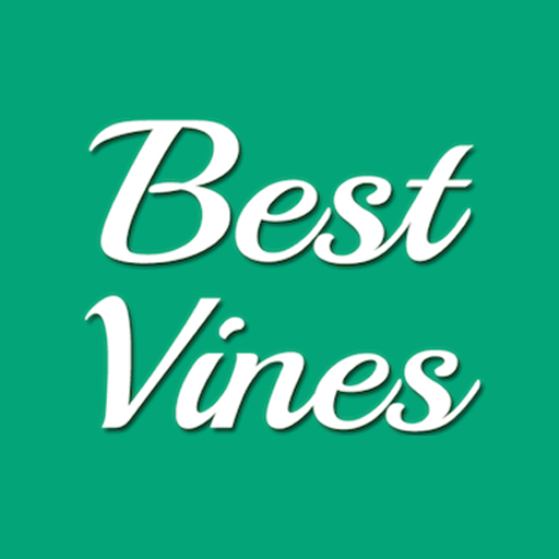 Best Vines: Hilarious Vine Videos