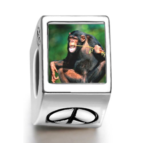 Soufeel Funny Monkey Photo Peace Symbol European Charms Fit Pandora Bracelets