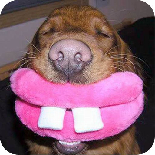 OMG Funny Pictures