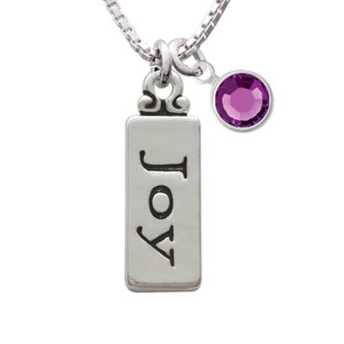 Joy Charm Necklace with Amethyst Crystal Drop