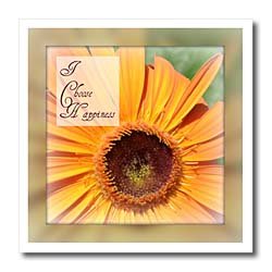 Framed I Choose Happiness Flower Inspirational Quotes – 10×10 Iron On Heat Transfer For White Material