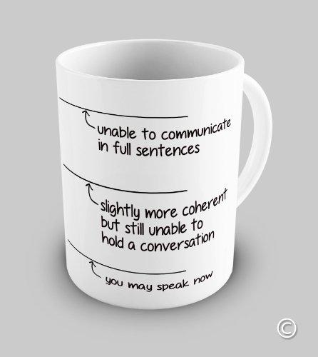Funny You May Speak Now Coffee Mug Funny You May Speak Now Coffee Mug