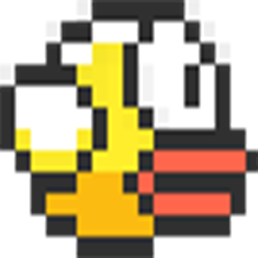 Happy Bird’s Return!