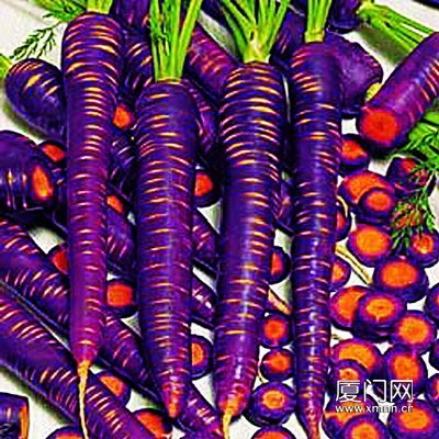 100 Seeds, Purple (Daucus Carota) Satisfied Vegetable Seeds By Smile Seed