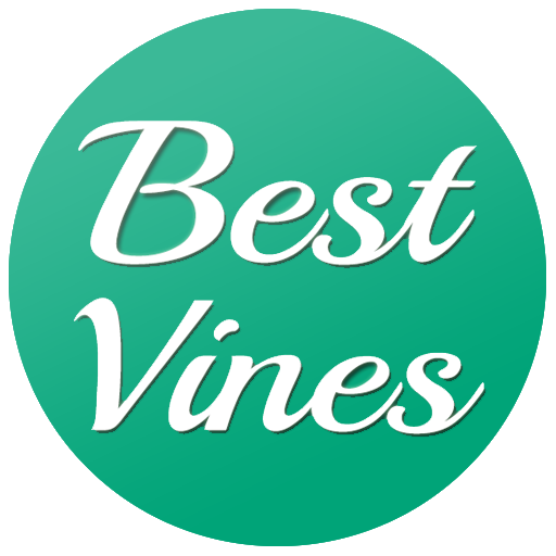 Best of Vines