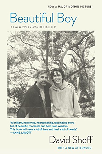 Beautiful Boy: A Father’s Journey Through His Son’s Addiction
