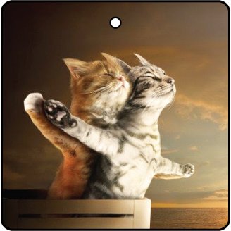 Titanic Kittens Car Air Freshener