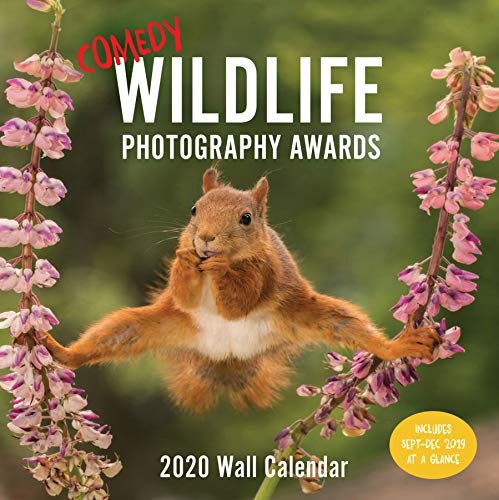 Comedy Wildlife 2020 Wall Calendar: (Funny 2020 Wall Calendar, Funny Wall Calendar with Animals, Photo Wall Calendar)