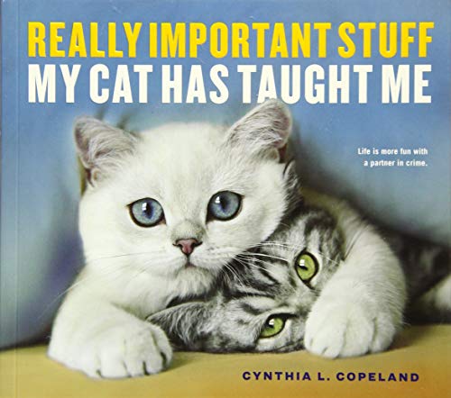 Really Important Stuff My Cat Has Taught Me