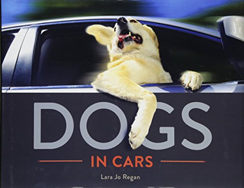 Dogs in Cars